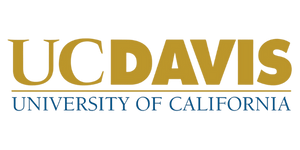 Untitled design (23)